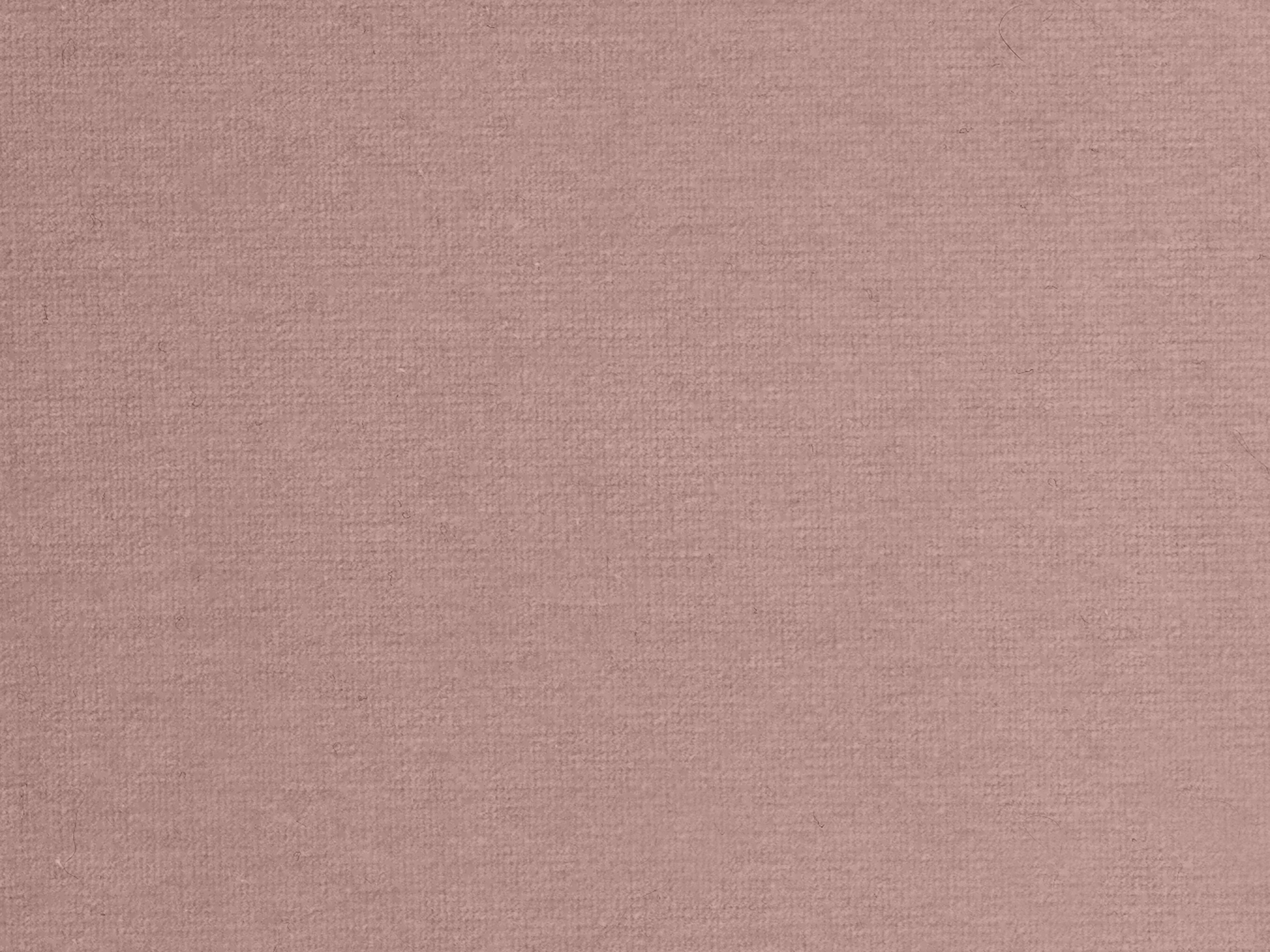 zoom colori RIVE GAUCHE rose pale, rose